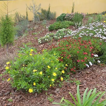 Quinta Vitae Farm stay *
